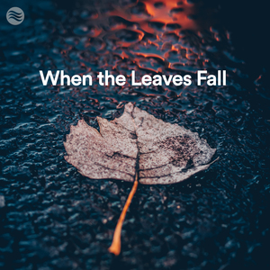 Rain and Thunder Noises (Loopable)