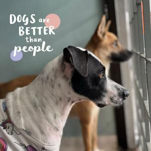 Dogs are better than people