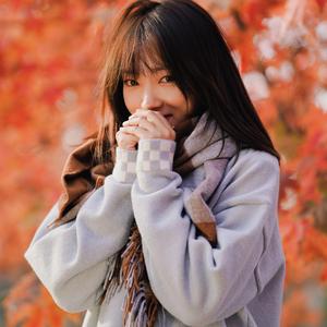 蜜蜂(Cover 万玲琳）