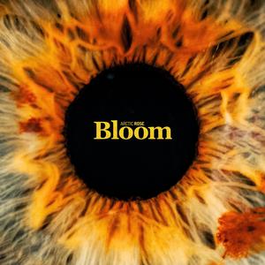 Winterheart (feat. Nayeli Abrego) (Remastered)