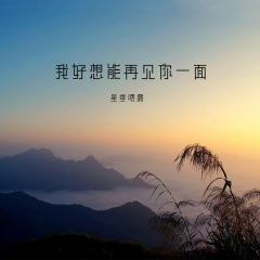 那么任性我吹过你吹过的晚风