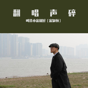 情歌而已cover声音碎片