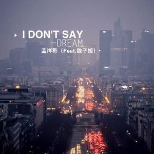 I Don't Say(Feat.魏子媛)