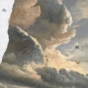 Fly