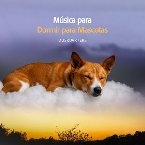 Despedazandose Centrado