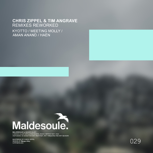 Dhere (Meeting Molly Remix - Rework)