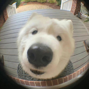 我饮烈酒点孤灯