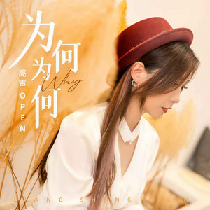 为何为何 (DJ九零版)