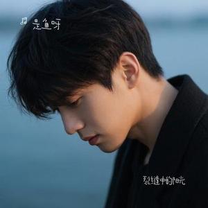 裂缝中的阳光 (Cover 林俊杰)