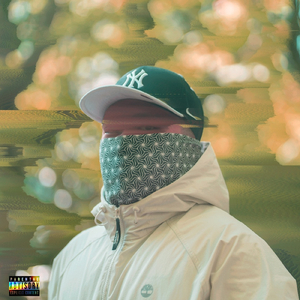 vibes (feat. bug's planet) [Father Remix]