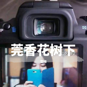 莞香花树下的人.mp3