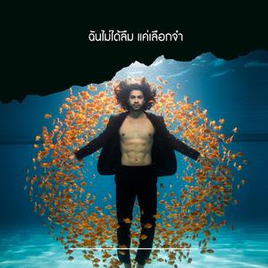 ฉันไม่ได้ลืม แค่เลือกจำ