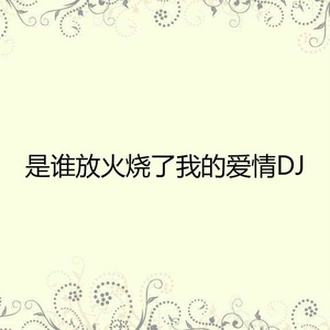 是谁放火烧了我的爱情 (DJ版)