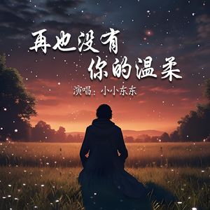再也没有你的温柔