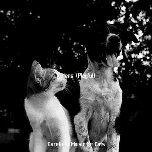 Playful (Cats)
