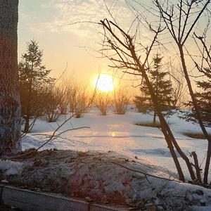 梦中的婚礼(钢琴版)