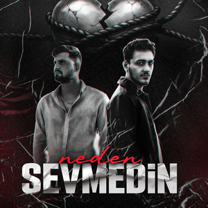 Neden Sevmedin