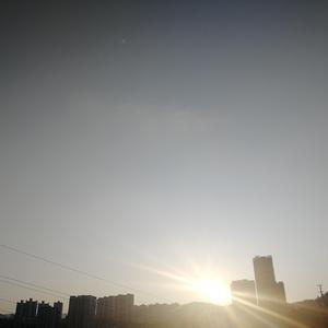 悲伤的SINAPI
