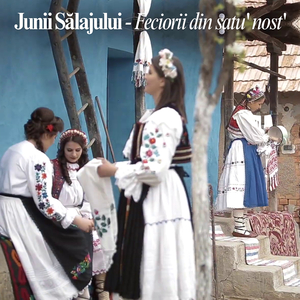 Feciorii din satu' nost'