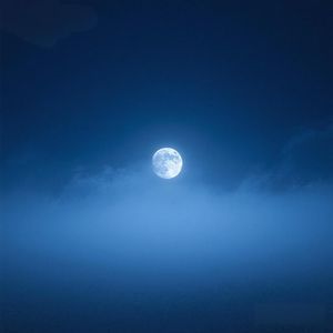 星光洒满林间