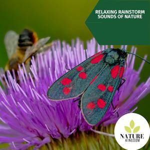 Blissful Bonfire Sounds