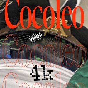 Cocoleo
