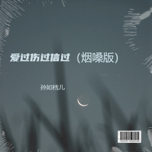 爱过伤过信过（烟嗓版）