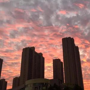 闹够了没有
