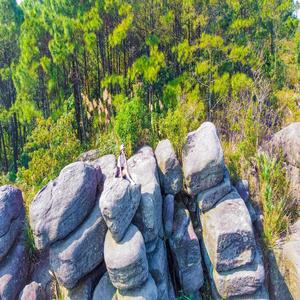 Do You Know That My Heart Is Only For You