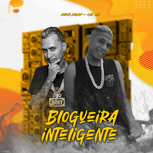 Blogueira Inteligente