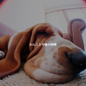 Classic Ambience for Laid Back Listening