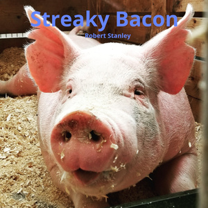 Streaky Bacon