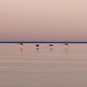 Stick To Rock'n Roll (feat. Jörgen Karlsson, Fredrik Tibblin)