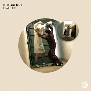 Flake (David Hasert Remix)