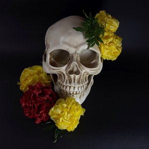 Involucre