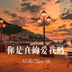 你是真的爱我吗 (DJ版)