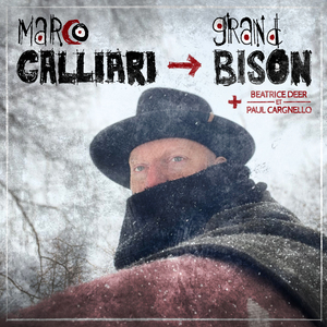 GRAND BISON (Version Radio by Paul Cargnello)