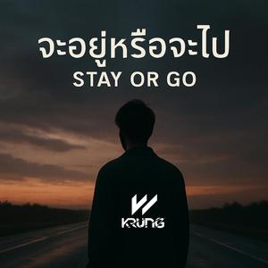 จะอยู่หรือจะไป (Stay or Go)