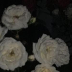 兰亭集序〈古筝版〉