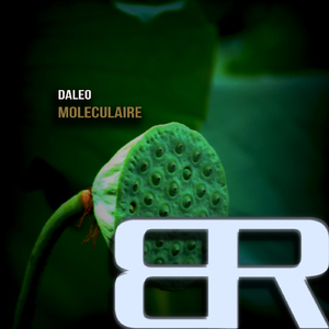 Moleculaire (Original Mix)