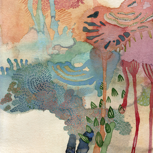 Boomers - Psilocybe Cubensis