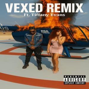 Vexed Remix (feat. Tiffany Evans)
