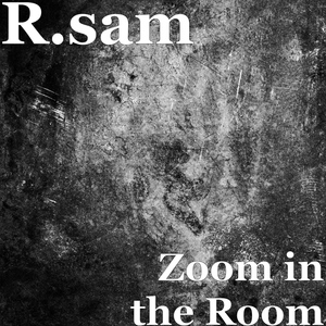 Zoom in the Room