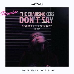 The Chainsmokers-Don't Say（Turtle Dove斑鸠 remix）