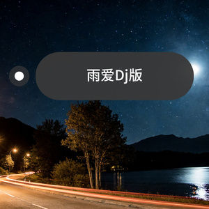 雨爱dj版