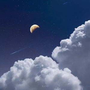 失去我爱的人 (1.2x)