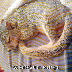 最佳放松 SPA 音乐