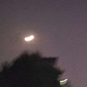 椿（沈以诚cover）