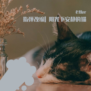 指弹 |阳光下安静的猫（翻自 Falcom Sound Team jdk）