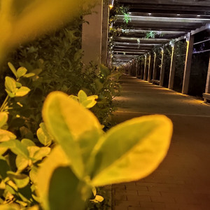 想要挣脱生活枷锁